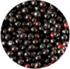 Close up of red berries