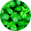 Collection of green foods