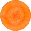 Close up image of an orange