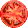 Inside of a tomato
